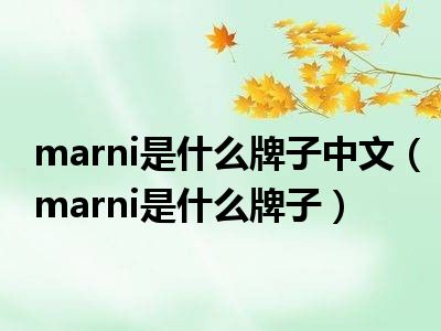 marni是什么牌子中文（marni是什么牌子）