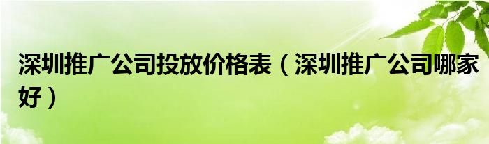  深圳推广公司投放价格表（深圳推广公司哪家好）