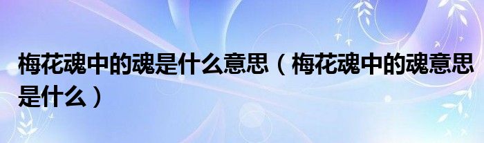 梅花魂中的魂是什么意思（梅花魂中的魂意思是什么）