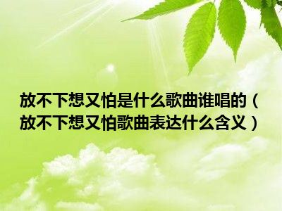 放不下想又怕是什么歌曲谁唱的（放不下想又怕歌曲表达什么含义）