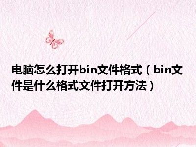 电脑怎么打开bin文件格式（bin文件是什么格式文件打开方法）