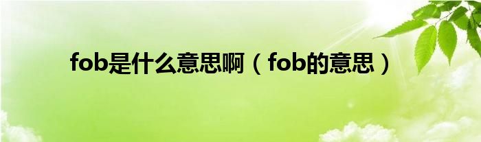 fob是什么意思啊（fob的意思）