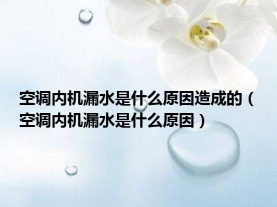 空调内机漏水是什么原因造成的（空调内机漏水是什么原因）