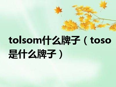 tolsom什么牌子（toso是什么牌子）