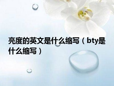 亮度的英文是什么缩写（bty是什么缩写）