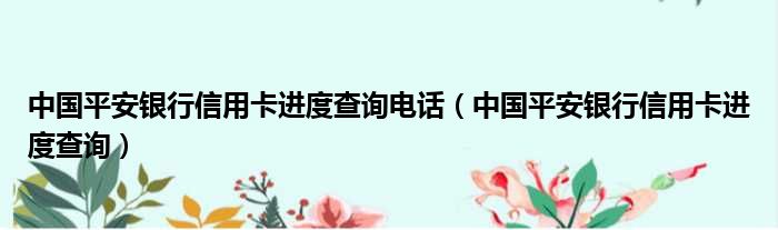 中国平安银行信用卡进度查询电话（中国平安银行信用卡进度查询）