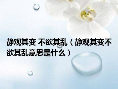 静观其变 不欲其乱（静观其变不欲其乱意思是什么）