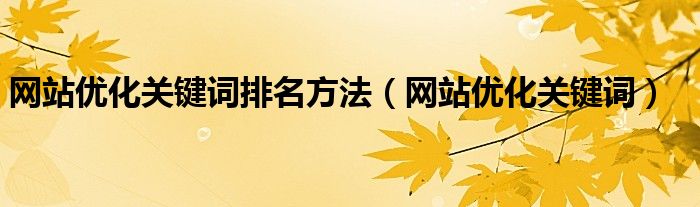  网站优化关键词排名方法（网站优化关键词）