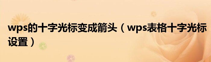  wps的十字光标变成箭头（wps表格十字光标设置）