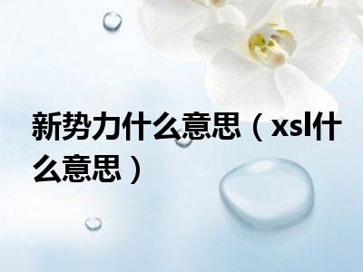 新势力什么意思（xsl什么意思）