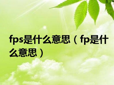 fps是什么意思（fp是什么意思）