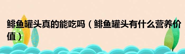 鲱鱼罐头真的能吃吗（鲱鱼罐头有什么营养价值）