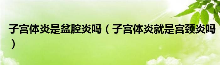  子宫体炎是盆腔炎吗（子宫体炎就是宫颈炎吗）