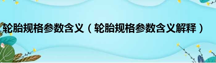 轮胎规格参数含义（轮胎规格参数含义解释）