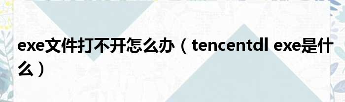 exe文件打不开怎么办（tencentdl exe是什么）