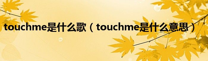  touchme是什么歌（touchme是什么意思）