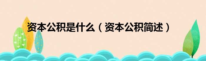 资本公积是什么（资本公积简述）