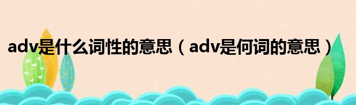 adv是什么词性的意思（adv是何词的意思）