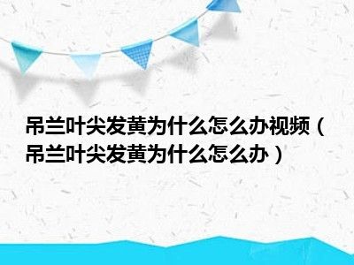 吊兰叶尖发黄为什么怎么办视频（吊兰叶尖发黄为什么怎么办）