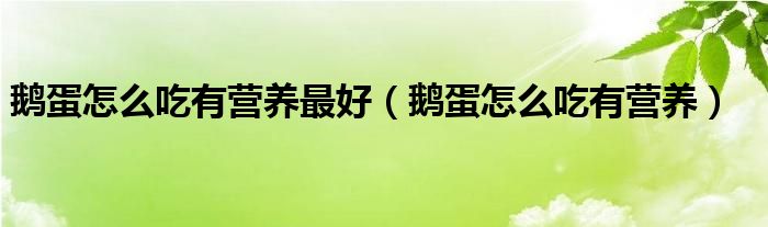  鹅蛋怎么吃有营养最好（鹅蛋怎么吃有营养）