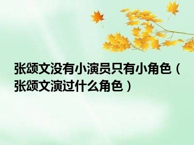 张颂文没有小演员只有小角色（张颂文演过什么角色）