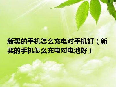 新买的手机怎么充电对手机好（新买的手机怎么充电对电池好）