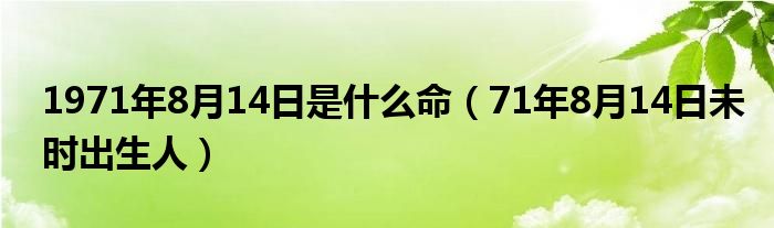  1971年8月14日是什么命（71年8月14日未时出生人）