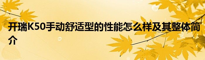 开瑞K50手动舒适型的性能怎么样及其整体简介