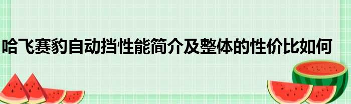 哈飞赛豹自动挡性能简介及整体的性价比如何