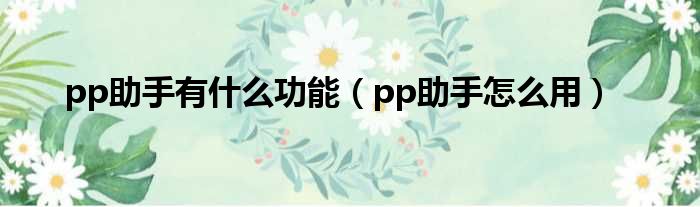 pp助手有什么功能（pp助手怎么用）