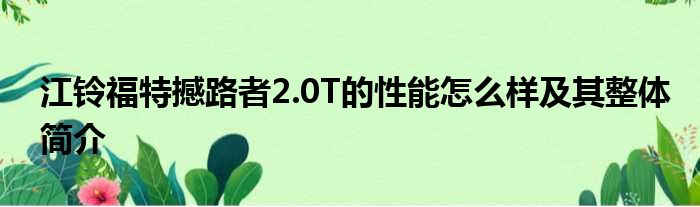 江铃福特撼路者2.0T的性能怎么样及其整体简介