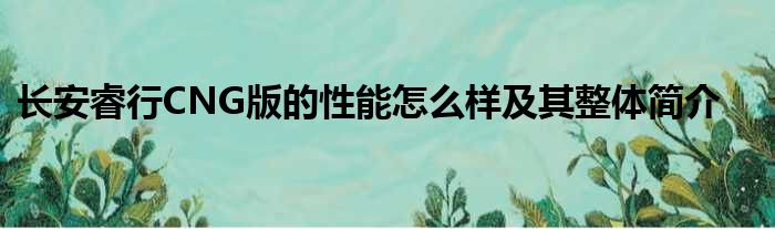 长安睿行CNG版的性能怎么样及其整体简介