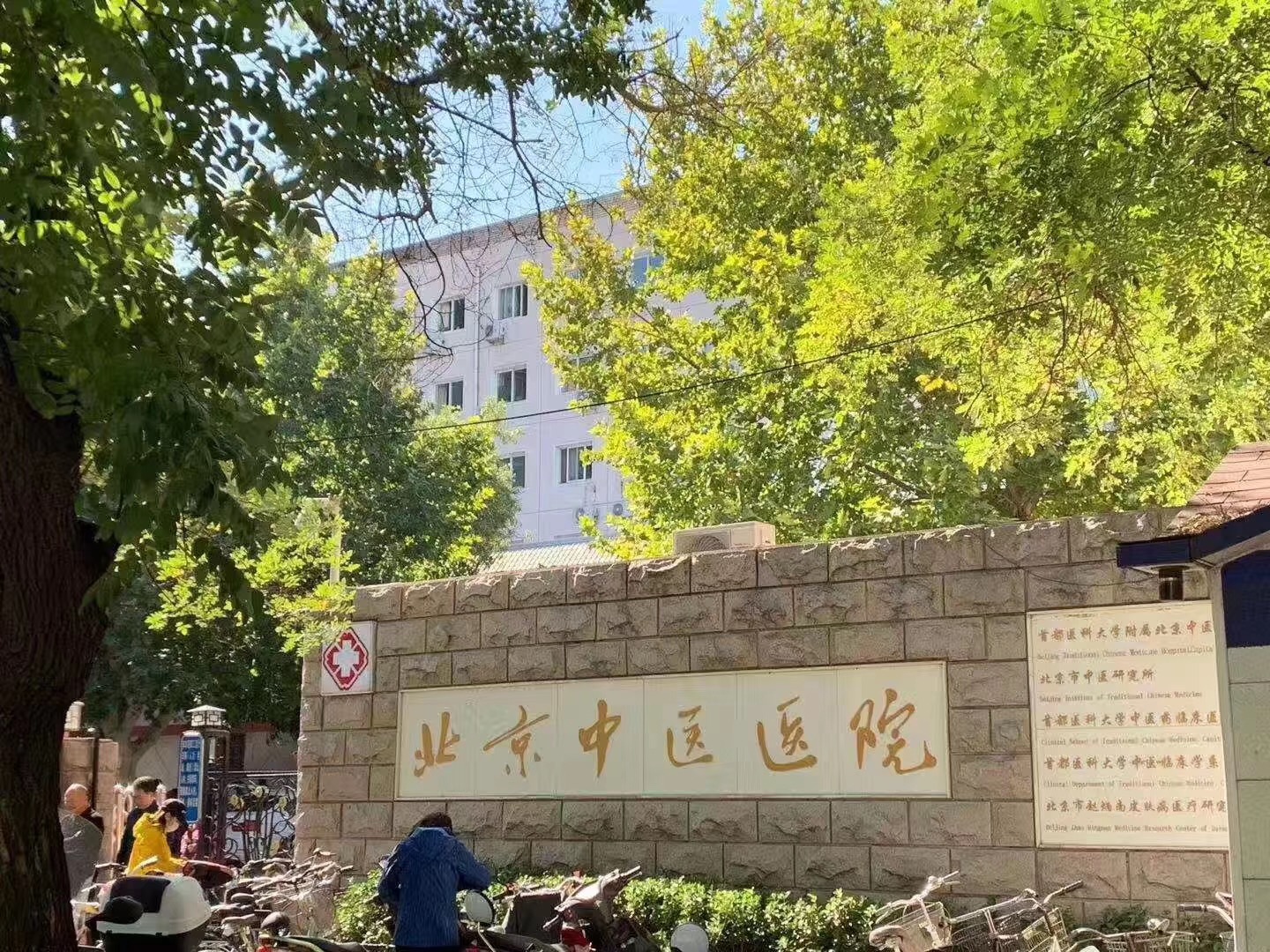 北京中医医院(北京中医医院排名)