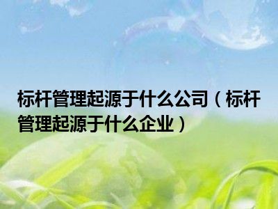 标杆管理起源于什么公司（标杆管理起源于什么企业）