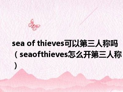 sea of thieves可以第三人称吗（seaofthieves怎么开第三人称）