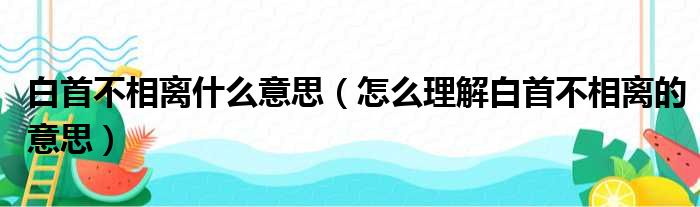 白首不相离什么意思（怎么理解白首不相离的意思）