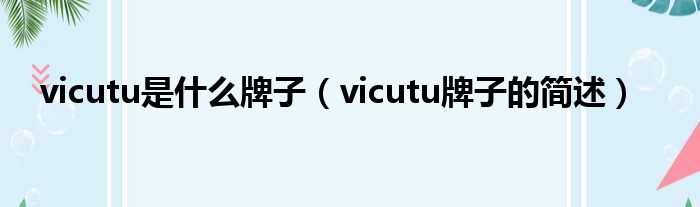 vicutu是什么牌子（vicutu牌子的简述）