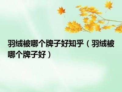 羽绒被哪个牌子好知乎（羽绒被哪个牌子好）