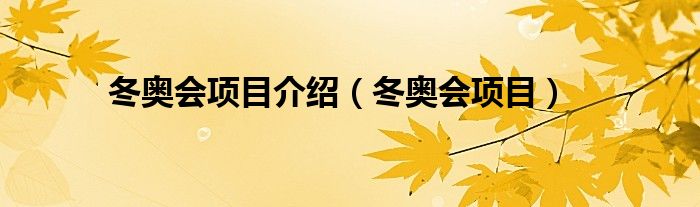  冬奥会项目介绍（冬奥会项目）