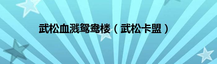  武松血溅鸳鸯楼（武松卡盟）