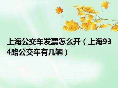 上海公交车发票怎么开（上海934路公交车有几辆）