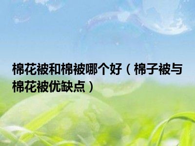 棉花被和棉被哪个好（棉子被与棉花被优缺点）