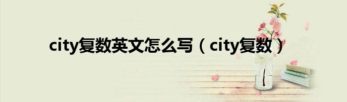  city复数英文怎么写（city复数）