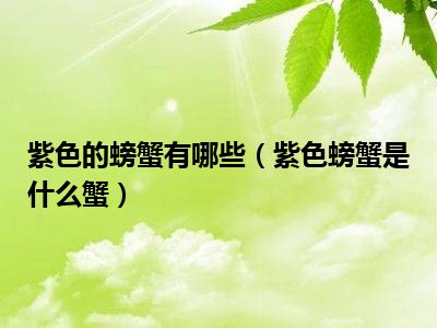 紫色的螃蟹有哪些（紫色螃蟹是什么蟹）