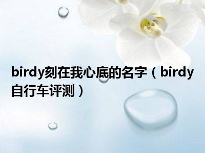 birdy刻在我心底的名字（birdy自行车评测）