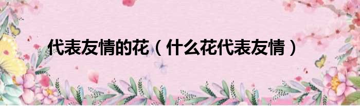 代表友情的花（什么花代表友情）