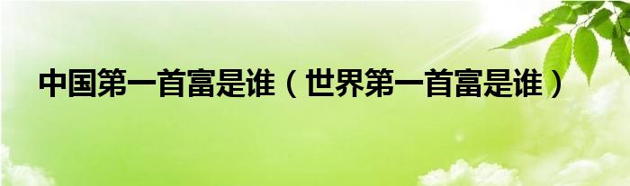  中国第一首富是谁（世界第一首富是谁）