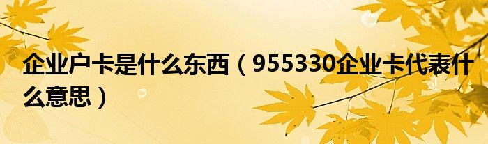  企业户卡是什么东西（955330企业卡代表什么意思）