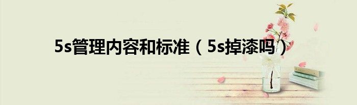  5s管理内容和标准（5s掉漆吗）