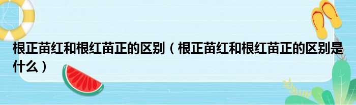 根正苗红和根红苗正的区别（根正苗红和根红苗正的区别是什么）